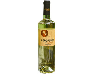 TXAKOLI MAGALARTE